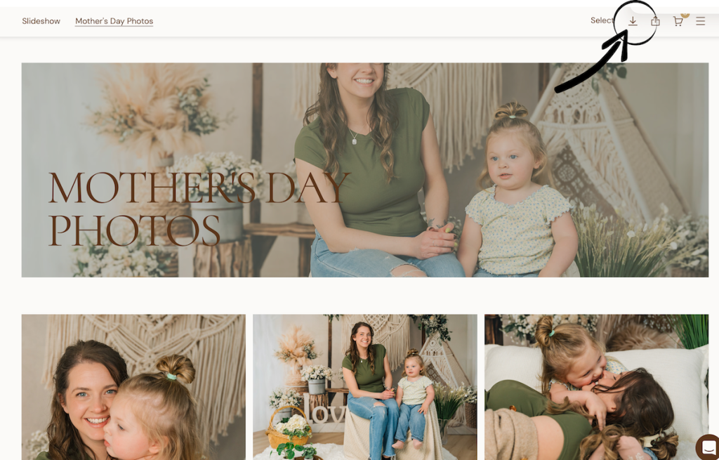how-to-download-your-photos-on-pic-time
